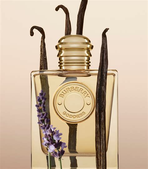 burberry the goddess|where to buy burberry goddess.